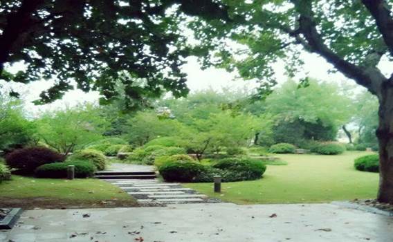 2015年度讀書節(jié)活動工作總結(jié)
